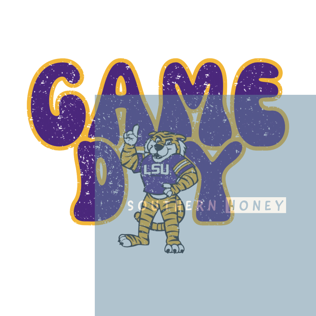 College Game Day LSU