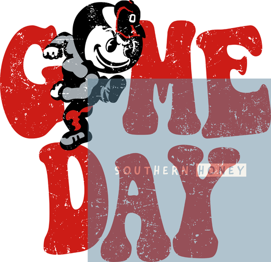 College Game Day Ohio State