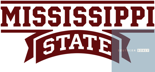 College MS State