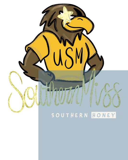 College Southern USM