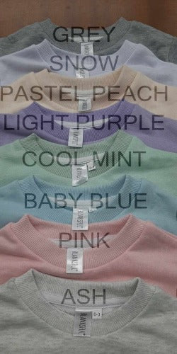 Baby Bubble Sweatshirt Color Chart